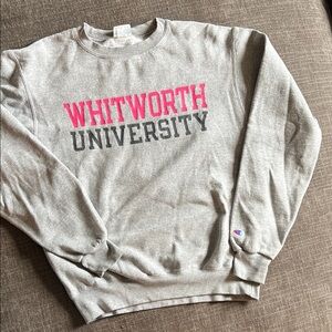 Champion Gray and Pink Women's Crew Neck Sweater